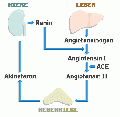 Vorschaubild der Version vom 10. März 2011, 18:38 Uhr