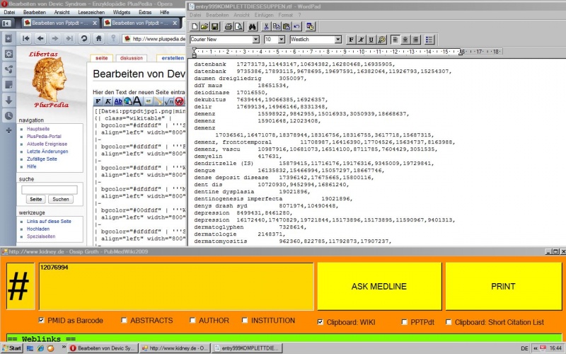 Datei:Screenshot - 06.03.jpg